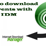 download torrent files with idm superfast