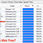 anonymous torrent check ip