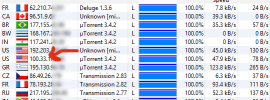 anonymous torrent check ip