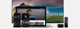 bittorrent now legal
